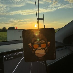 detailworx – Monkey Air Freshener